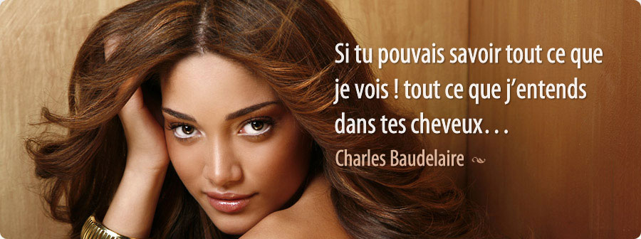 Si tu pouvais savoir tout ce que je vois! tout ce que j'entends dans tes cheveux... 100% Cheveux naturels Pose d'Extensions &agrave; froid