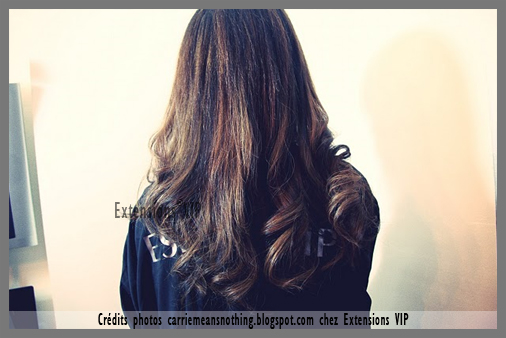 Extension cheveux afro Extension cheveux Afro